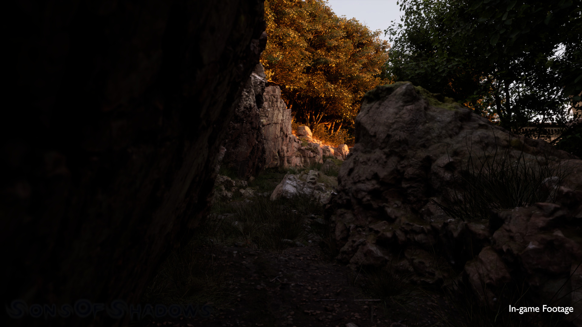 Sons of Shadows | Villa de Finetti | Bosque